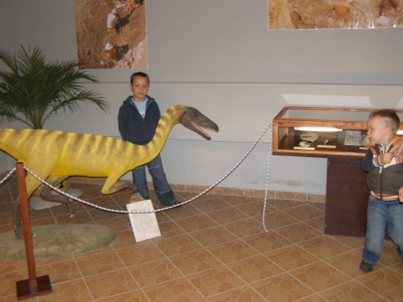 Muzeum Paleontologiczne w Lisowicach nr 15 (Wnętrze muzeum z turystami wokół eksponaty)