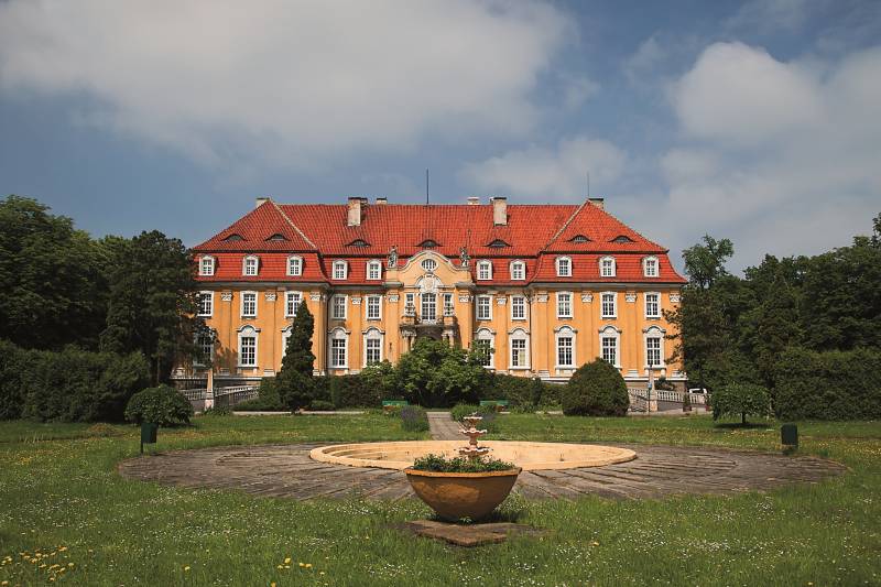 Pałac w Kochcicach (Widok pałacu od strony frontalnej, w tle ogrody pałacowe)