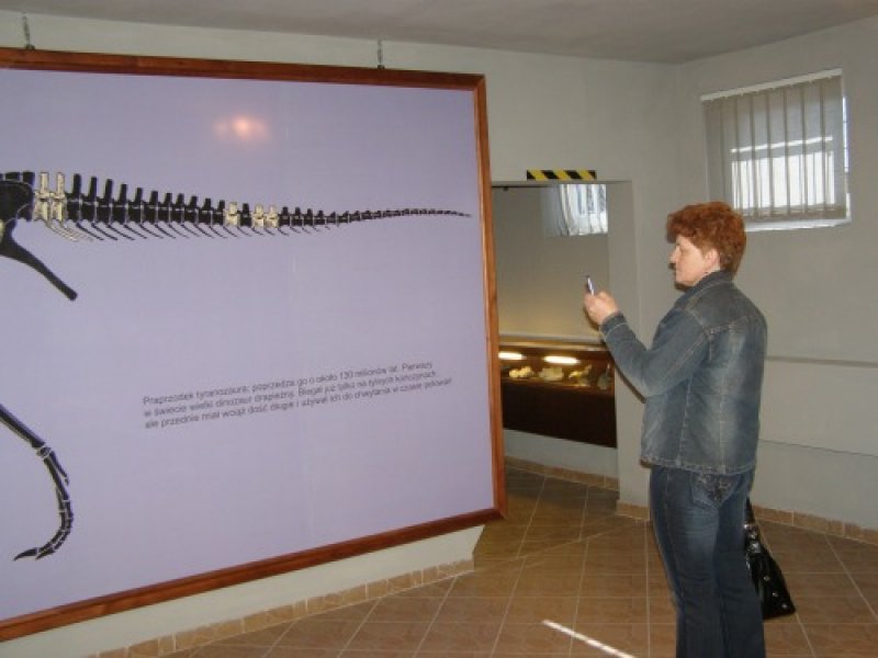 Muzeum Paleontologiczne w Lisowicach nr 14 (Wnętrze muzeum z turystami wokół eksponaty)