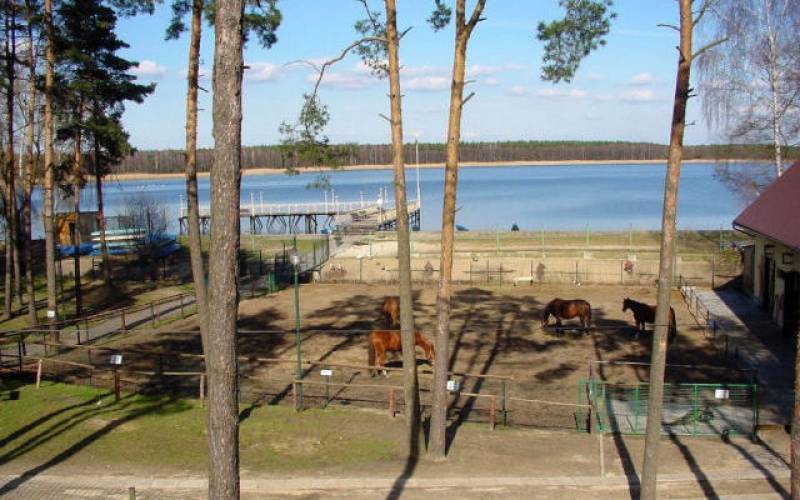 Posmyk Leśne Ustronie Ośrodek Wypoczynkowy nr 2 (Otoczona drzewami zagrody z końmi. W tle widok na zbiornik wodny z pomostem.)