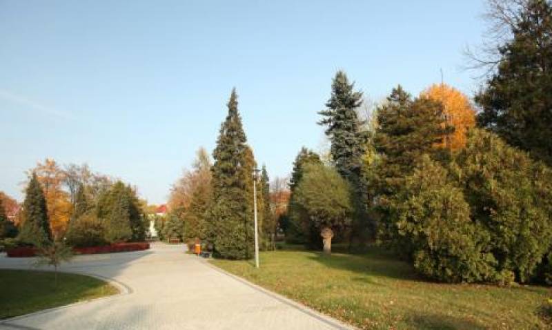 Skwer im. Gen. Wł. Sikorskiego nr 3 (Skwer im. Gen. Wł. Sikorskiego. Szary chodnik, który otaczają drzewa z prawej strony.  Z lewej strony fragment trawnika.)
