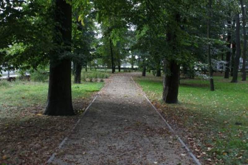 Park Klasztorny nr 1 (Ścieżka w Parku Klasztornym otoczona przez drzewa.)