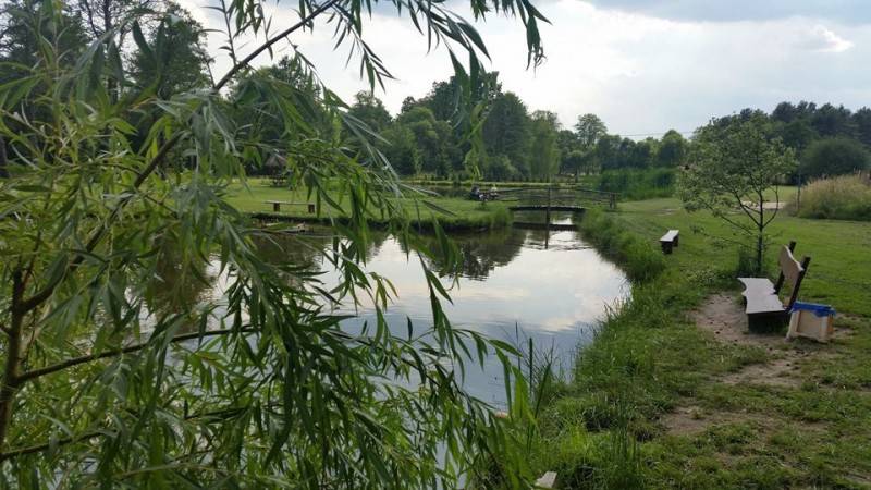 Łowisko Leśnica nr 1 (Zbiornik wodny. Z lewej strony rosnący krzew, z prawej ławka. W tle mostek i drzewa.)