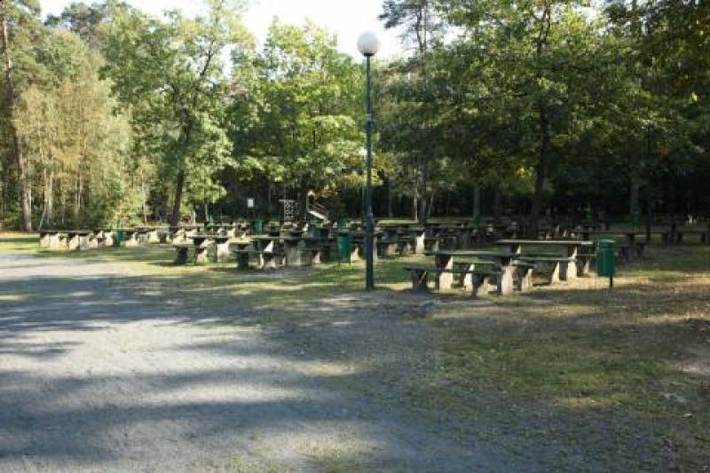 Park Miejski - Park Grunwaldzki nr 1 (Park Miejski - Park Grunwaldzki otoczony drzewami. Ławki ustawione w rzędach. Pośród nich stojące lampy.)
